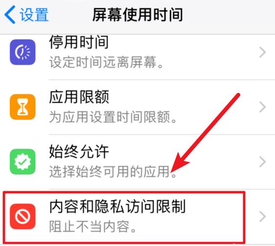 iOS 12 如何禁止删除已下载的应用？