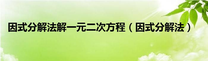 因式分解法解一元二次方程（因式分解法）