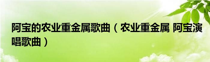 阿宝的农业重金属歌曲（农业重金属 阿宝演唱歌曲）