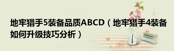 地牢猎手5装备品质ABCD（地牢猎手4装备如何升级技巧分析）