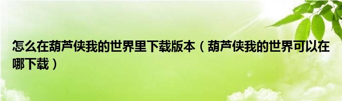 怎么在葫芦侠我的世界里下载版本（葫芦侠我的世界可以在哪下载）