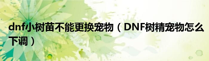 dnf小树苗不能更换宠物（DNF树精宠物怎么下调）