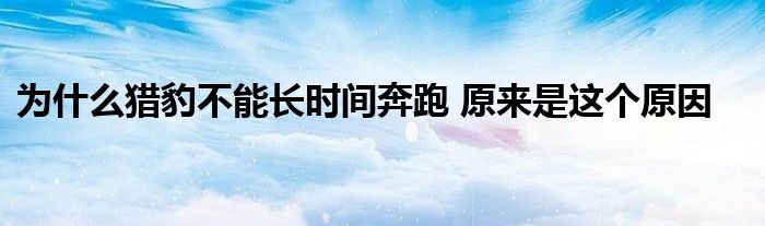 为什么猎豹不能长时间奔跑 原来是这个原因