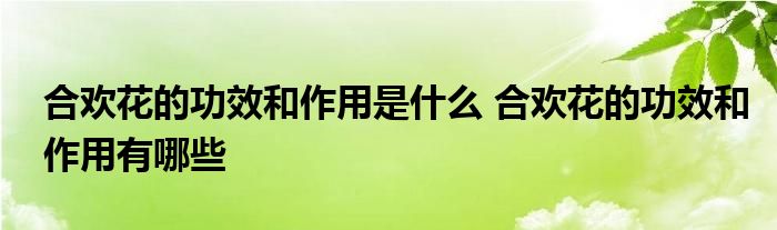 合欢花的功效和作用是什么 合欢花的功效和作用有哪些