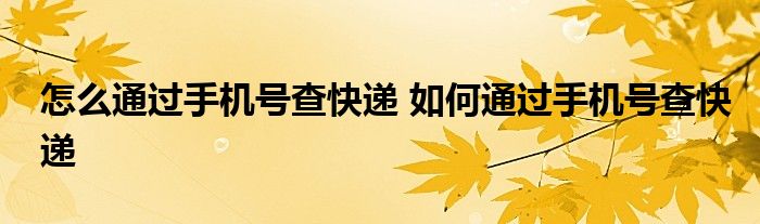 怎么通过手机号查快递 如何通过手机号查快递