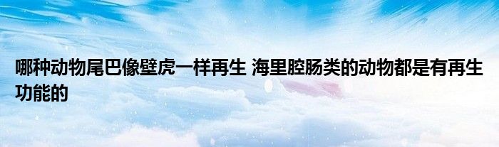 哪种动物尾巴像壁虎一样再生 海里腔肠类的动物都是有再生功能的