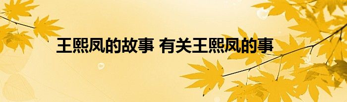 王熙凤的故事 有关王熙凤的事