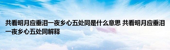 共看明月应垂泪一夜乡心五处同是什么意思 共看明月应垂泪一夜乡心五处同解释