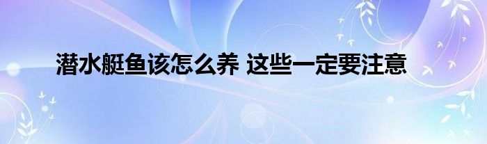 潜水艇鱼该怎么养 这些一定要注意