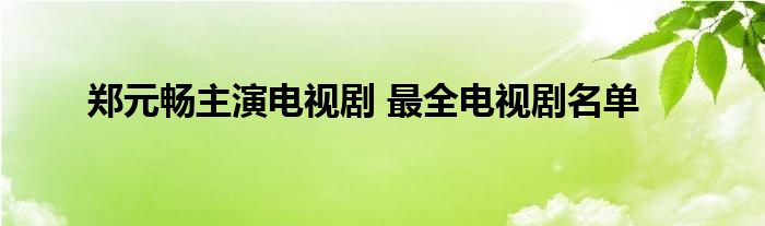 郑元畅主演电视剧 最全电视剧名单