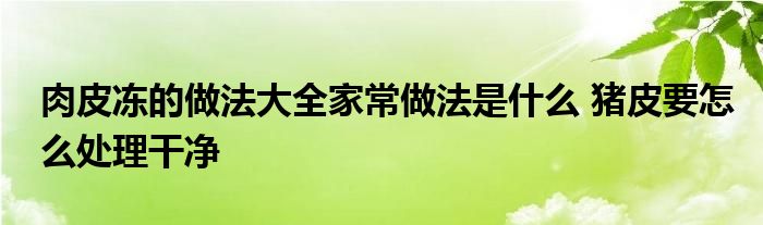 肉皮冻的做法大全家常做法是什么 猪皮要怎么处理干净