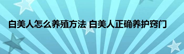 白美人怎么养殖方法 白美人正确养护窍门