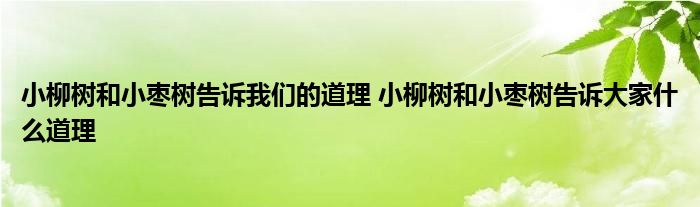 小柳树和小枣树告诉我们的道理 小柳树和小枣树告诉大家什么道理